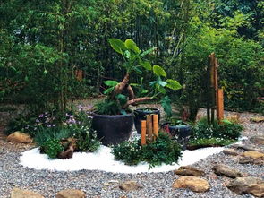 轉(zhuǎn)型的十字路口 園林綠化行業(yè)的挑戰(zhàn)與未來路徑